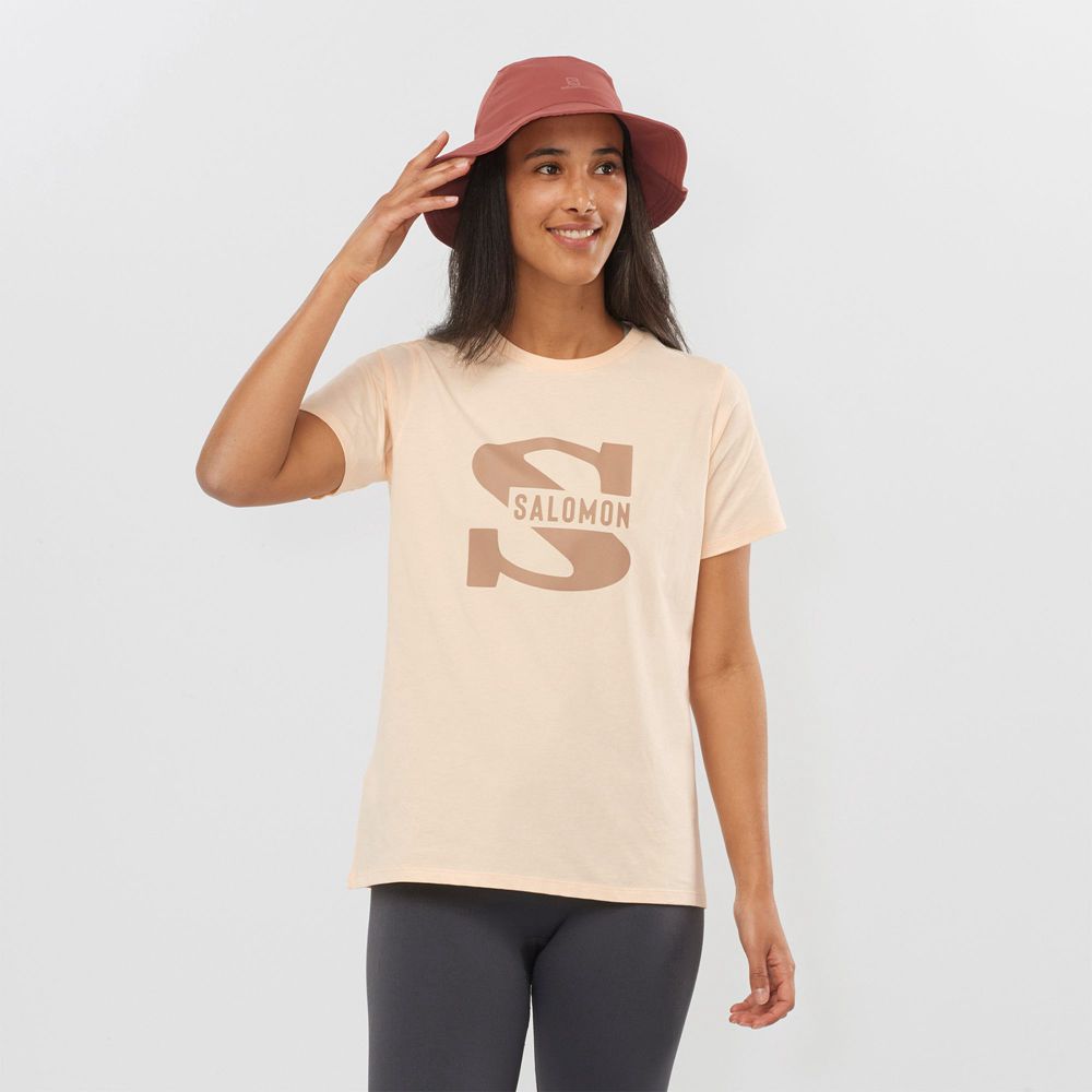 T-Shirts Salomon Femme Beige - Salomon OUTLIFE BIG LOGO - France (9785-DWIUZ)